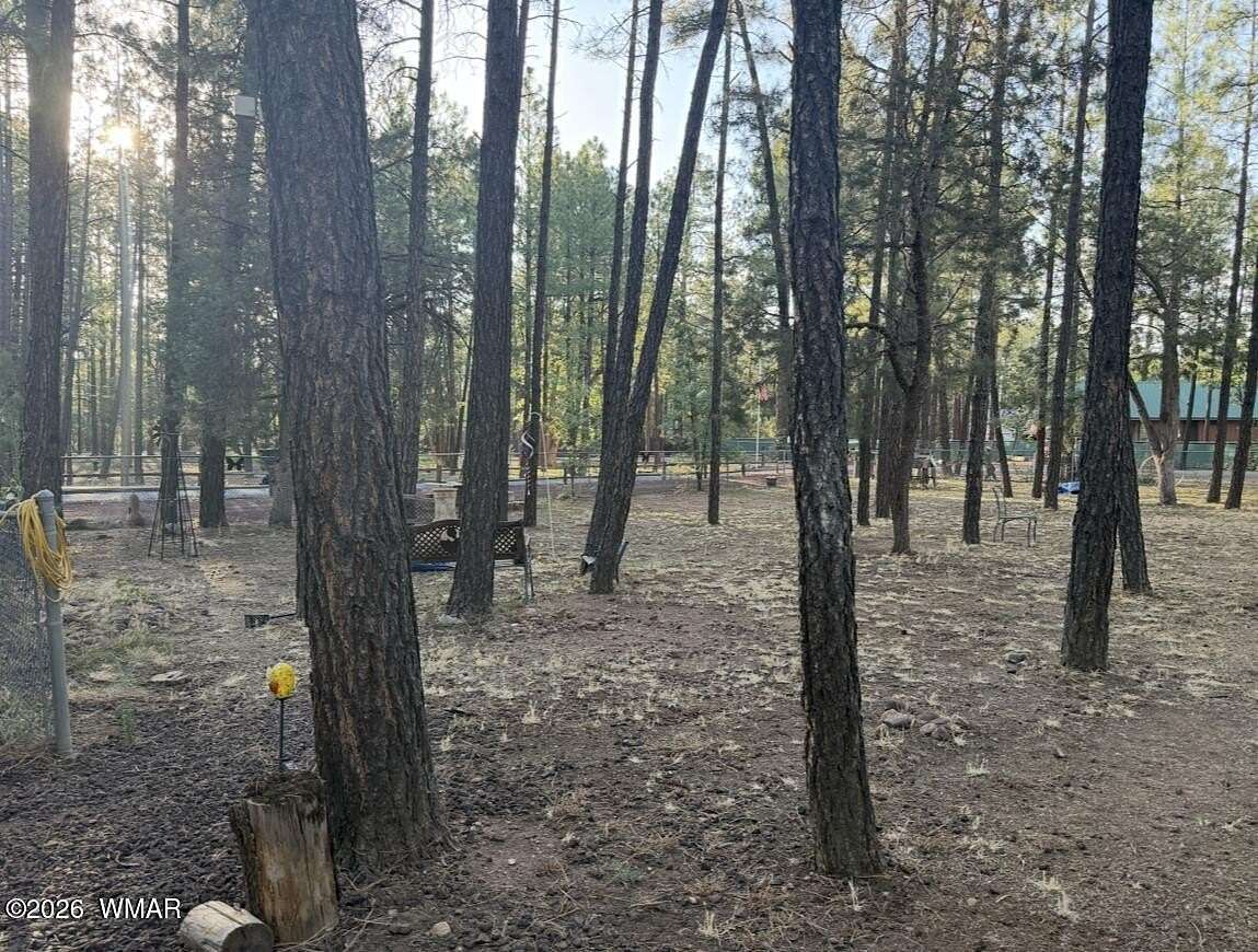 0.25 Acres of Residential Land for Sale in Lakeside, Arizona