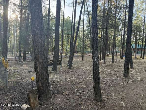 0.25 Acres of Residential Land for Sale in Lakeside, Arizona