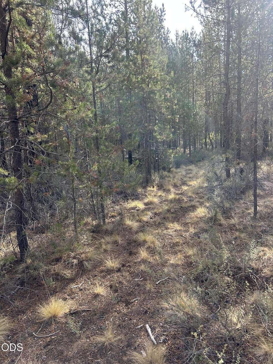 1 Acre of Residential Land for Sale in La Pine, Oregon