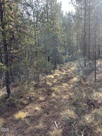 1 Acre of Residential Land for Sale in La Pine, Oregon
