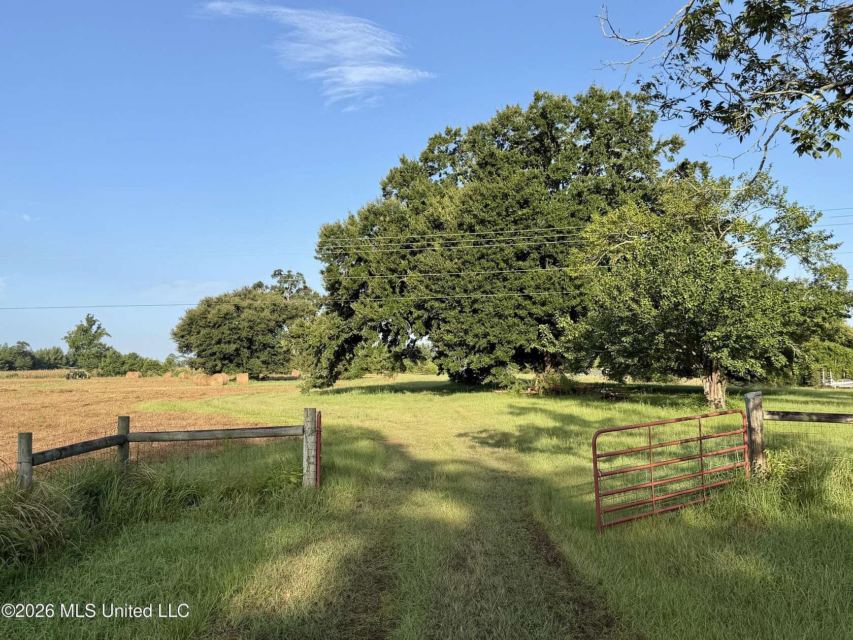 64.9 Acres of Recreational & Residential Land for Sale in Neely, Mississippi