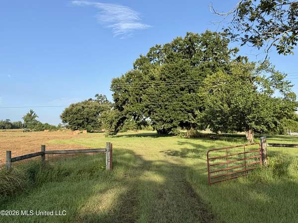 64.9 Acres of Recreational & Residential Land for Sale in Neely, Mississippi