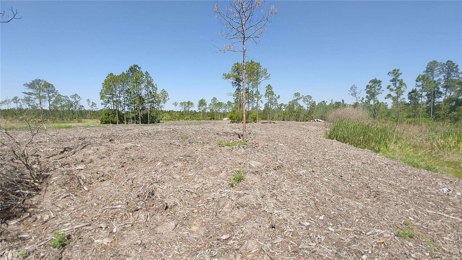 25.4 Acres of Recreational & Residential Land for Sale in New Smyrna Beach, Florida