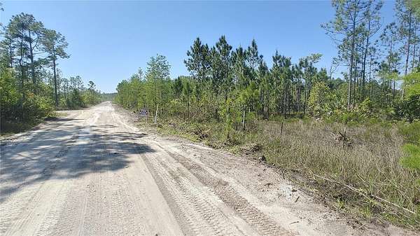 25.4 Acres of Recreational & Residential Land for Sale in New Smyrna Beach, Florida