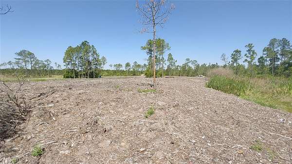 25.4 Acres of Recreational & Residential Land for Sale in New Smyrna Beach, Florida