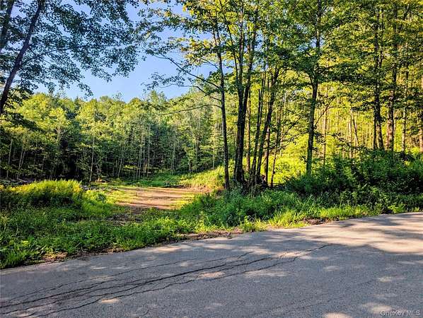 10.7 Acres of Recreational & Residential Land for Sale in Swan Lake, New York