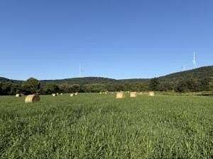60 Acres of Land for Sale in Green Forest, Arkansas