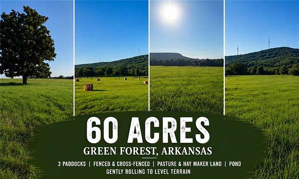 60 Acres of Land for Sale in Green Forest, Arkansas
