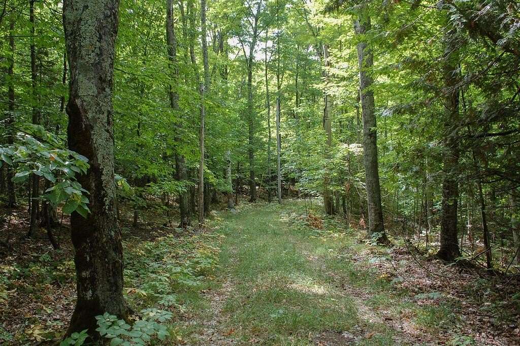 5 Acres of Residential Land for Sale in Ellison Bay, Wisconsin