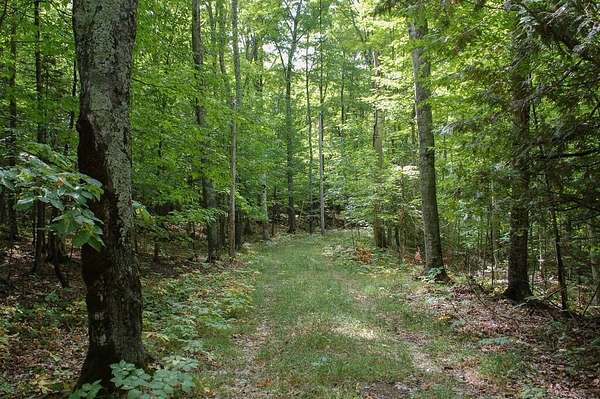 5 Acres of Residential Land for Sale in Ellison Bay, Wisconsin