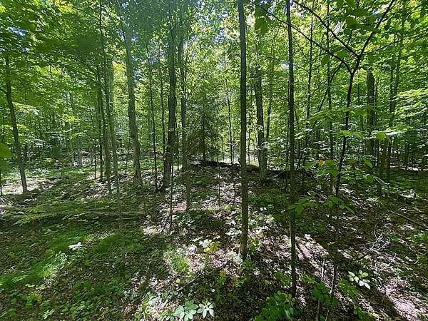 5 Acres of Residential Land for Sale in Ellison Bay, Wisconsin