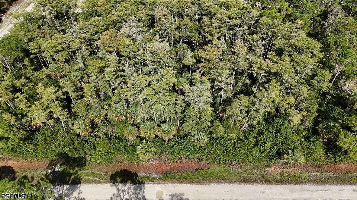 0.26 Acres of Residential Land for Sale in Lehigh Acres, Florida