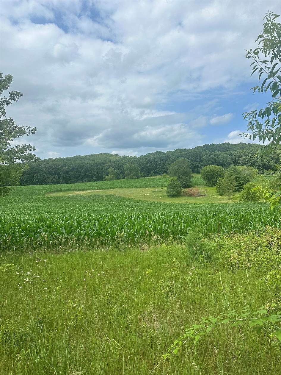 39.7 Acres of Land for Sale in Mondovi, Wisconsin