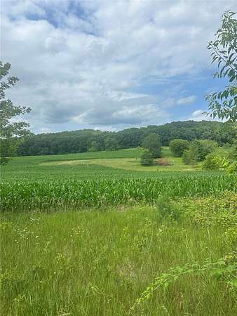 39.7 Acres of Land for Sale in Mondovi, Wisconsin