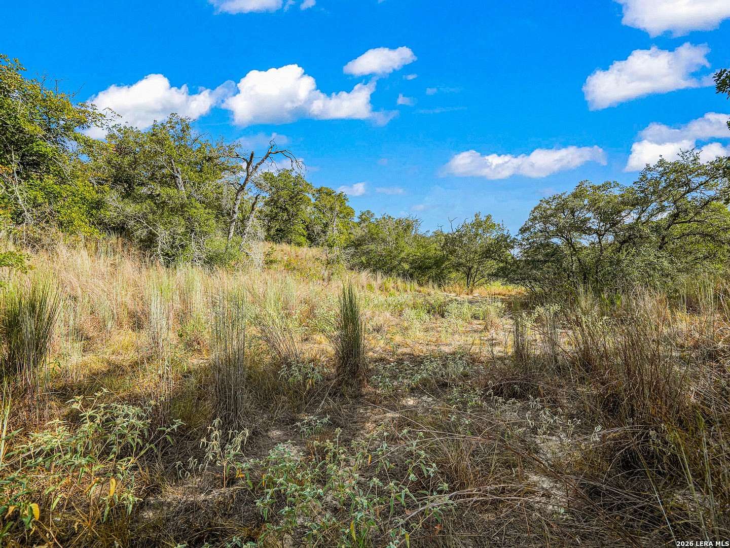 10 Acres of Land for Sale in Seguin, Texas