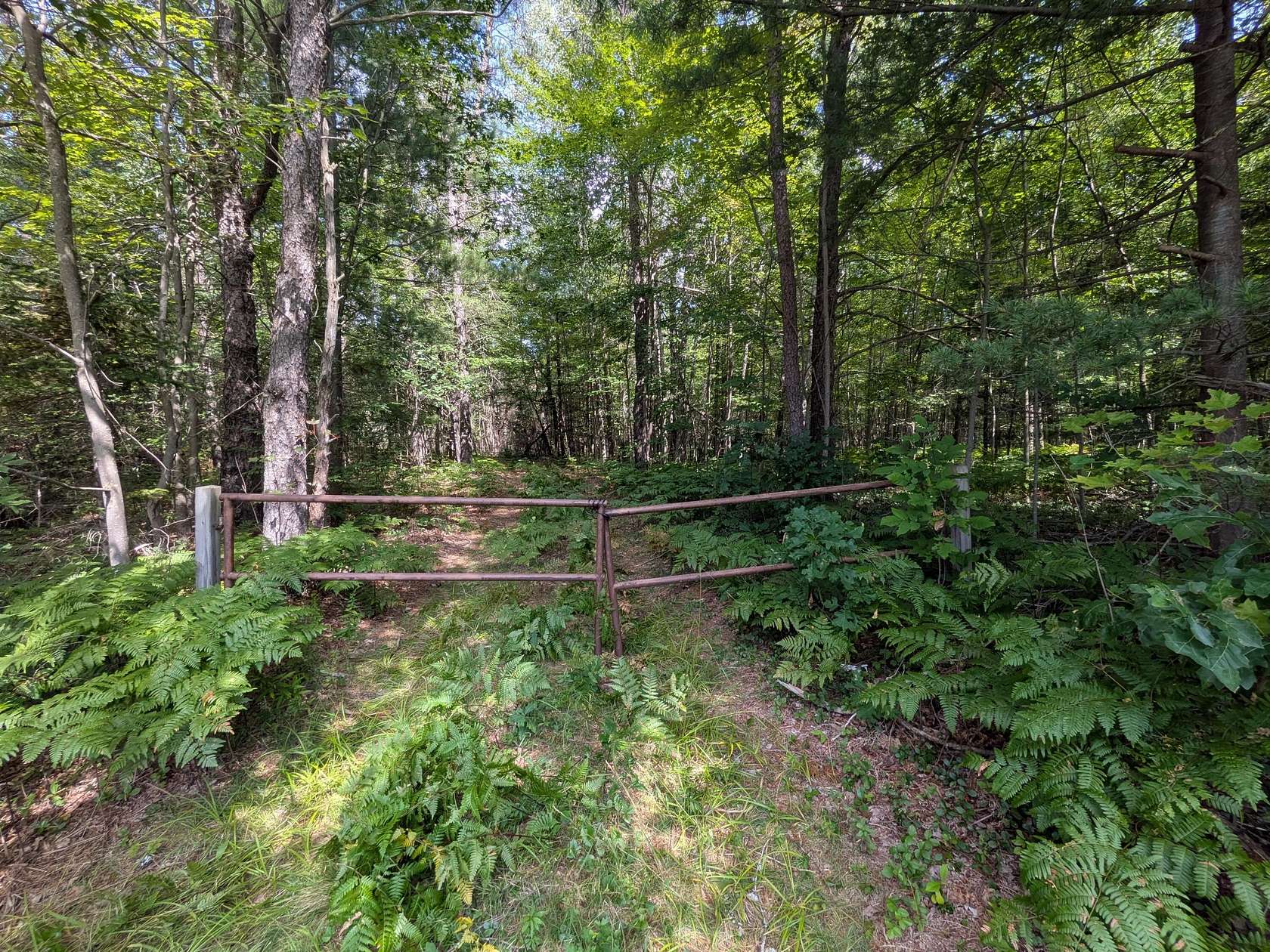 100 Acres of Recreational Land for Sale in Alger, Michigan