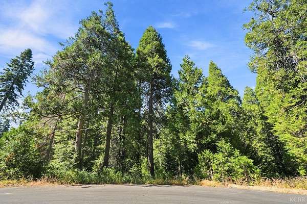 0.46 Acres of Residential Land for Sale in Shaver Lake, California