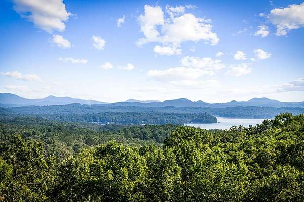 2 Acres of Land with Home for Sale in Blue Ridge, Georgia