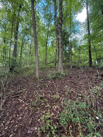 8 Acres of Residential Land for Sale in Buckhannon, West Virginia