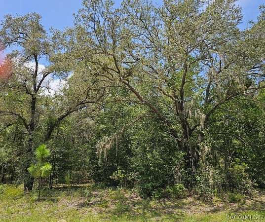 0.3 Acres of Residential Land for Sale in Dunnellon, Florida