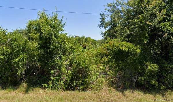 0.46 Acres of Residential Land for Sale in Port Charlotte, Florida