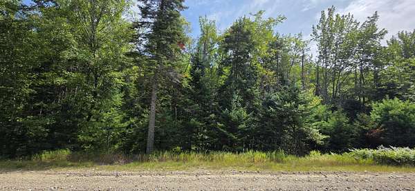12.5 Acres of Recreational & Residential Land for Sale in Woodstock Town, Maine