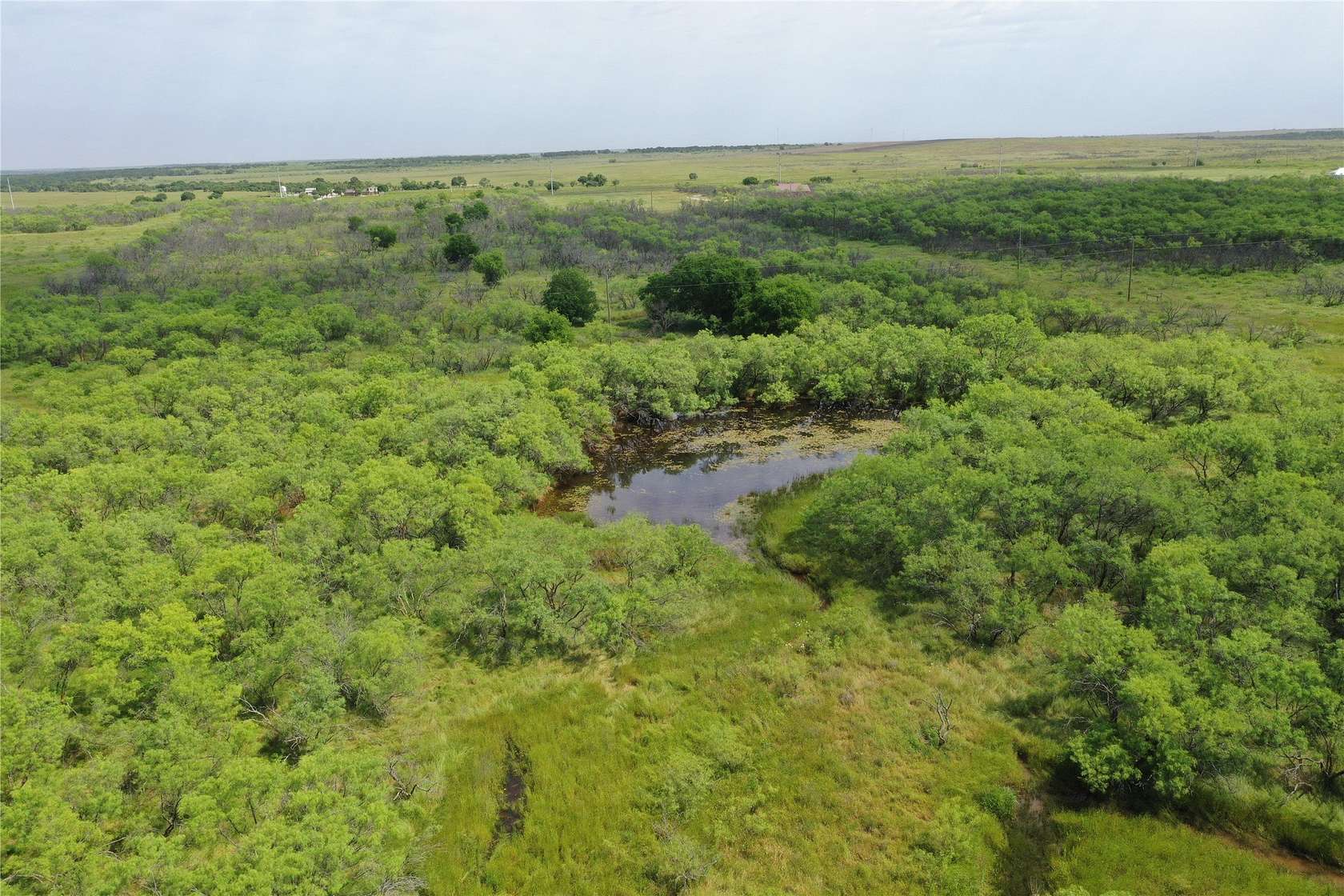 47.8 Acres of Recreational & Residential Land for Sale in Bellevue, Texas