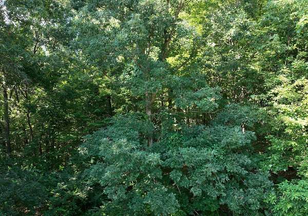 5 Acres of Residential Land for Sale in Niles, Michigan