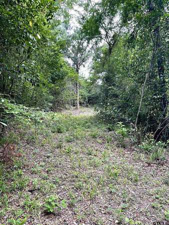 5 Acres of Land for Sale in Tyler, Texas