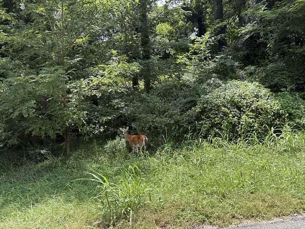 4.47 Acres of Residential Land for Sale in Columbia, Tennessee