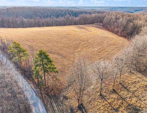 19.4 Acres of Recreational & Residential Land for Sale in Garrison, Kentucky