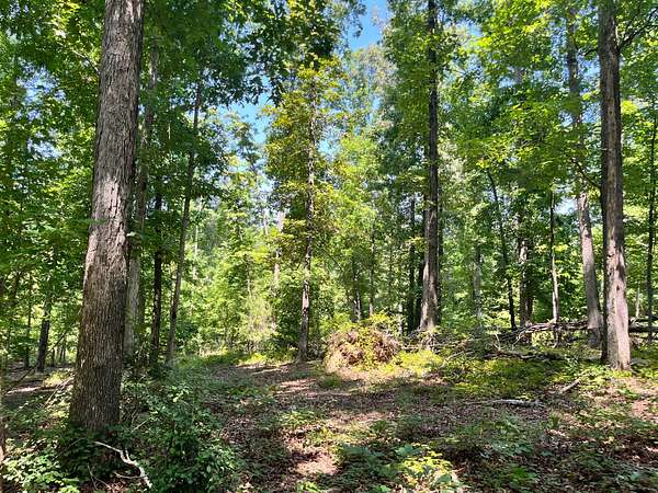 15.5 Acres of Recreational & Residential Land for Sale in Ware Shoals, South Carolina