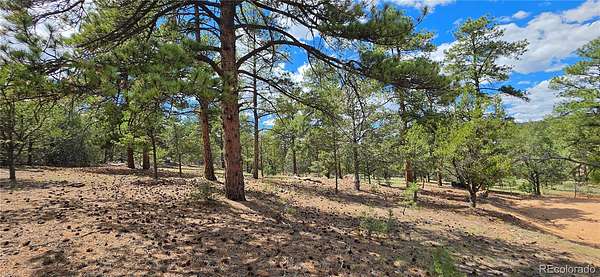 5.29 Acres of Residential Land for Sale in Cotopaxi, Colorado