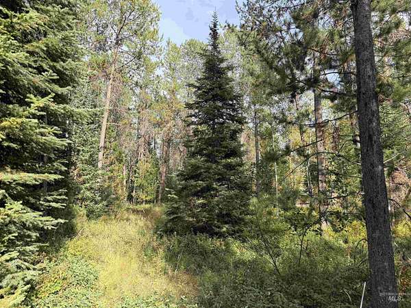 0.48 Acres of Land for Sale in Donnelly, Idaho