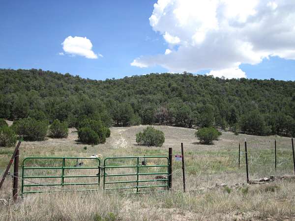 10.1 Acres of Land for Sale in Edgewood, New Mexico