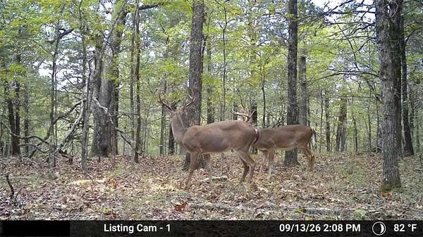 80 Acres of Recreational & Residential Land for Sale in Peel, Arkansas
