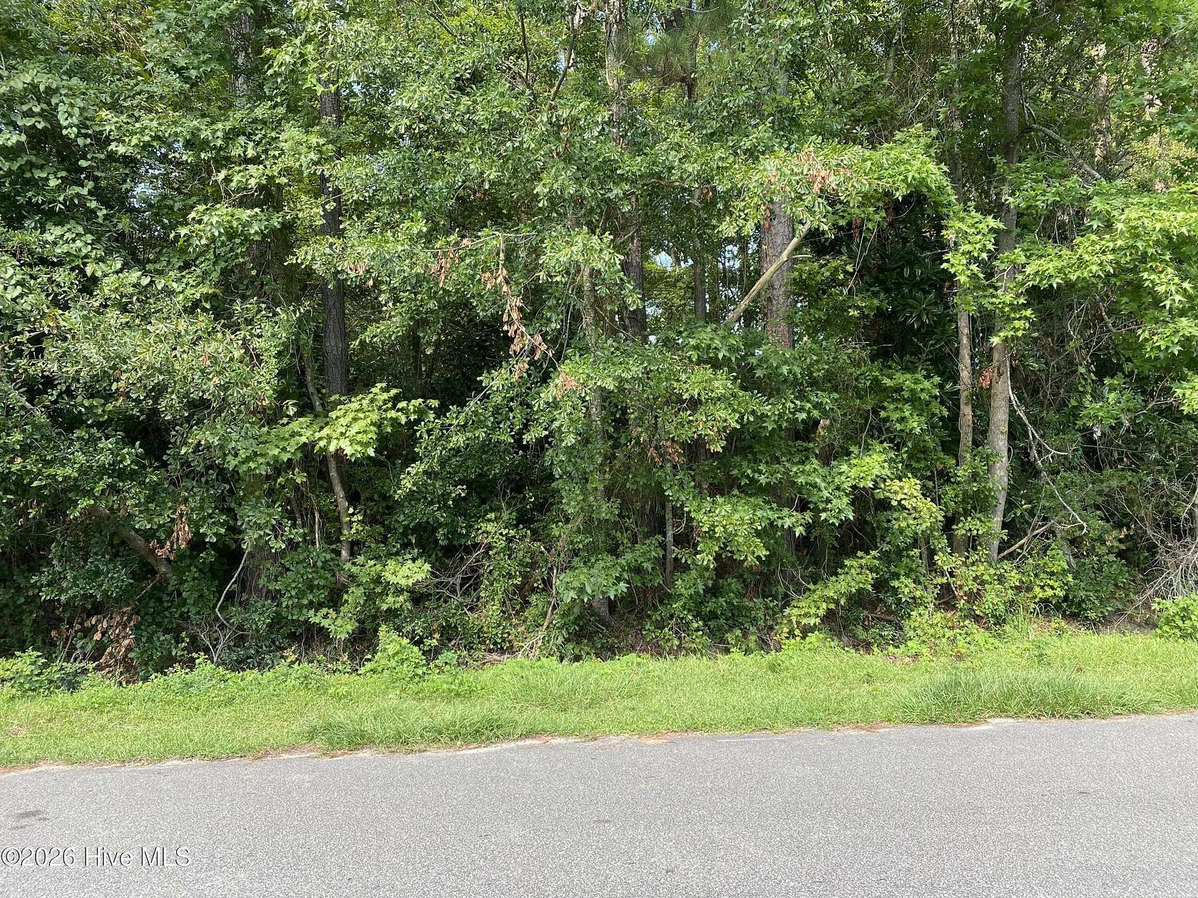 0.31 Acres of Residential Land for Sale in Wilmington, North Carolina