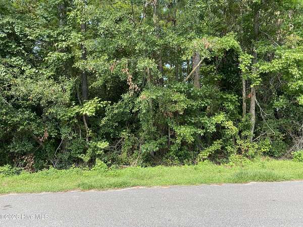 0.31 Acres of Residential Land for Sale in Wilmington, North Carolina