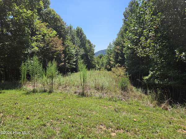 1 Acre of Land for Sale in Murphy, North Carolina