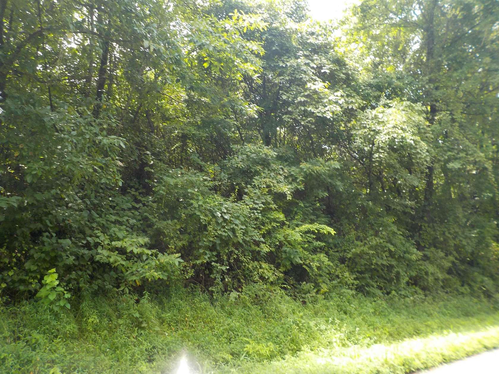 20 Acres of Recreational Land for Sale in Winslow, Indiana
