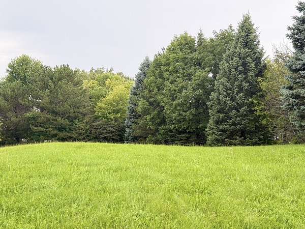 0.32 Acres of Residential Land for Sale in Cary, Illinois
