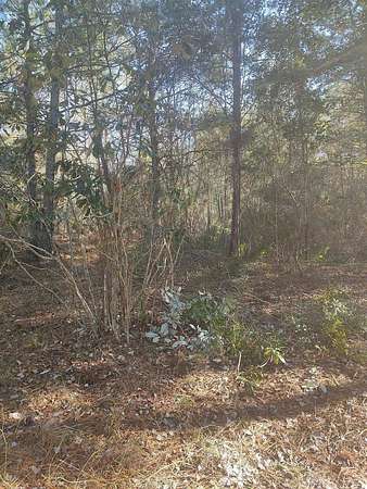 12.4 Acres of Recreational Land for Sale in Walterboro, South Carolina