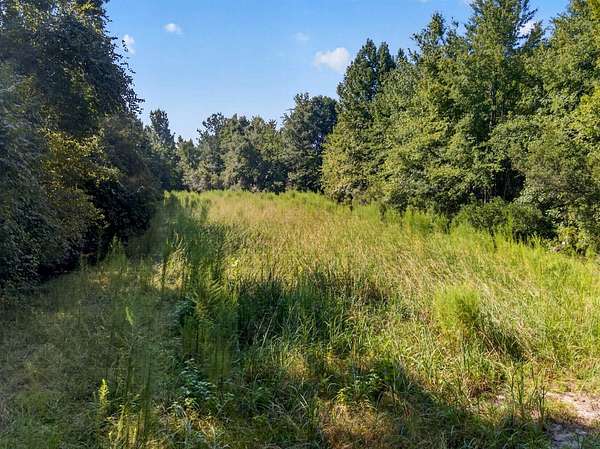 12.4 Acres of Recreational Land for Sale in Walterboro, South Carolina