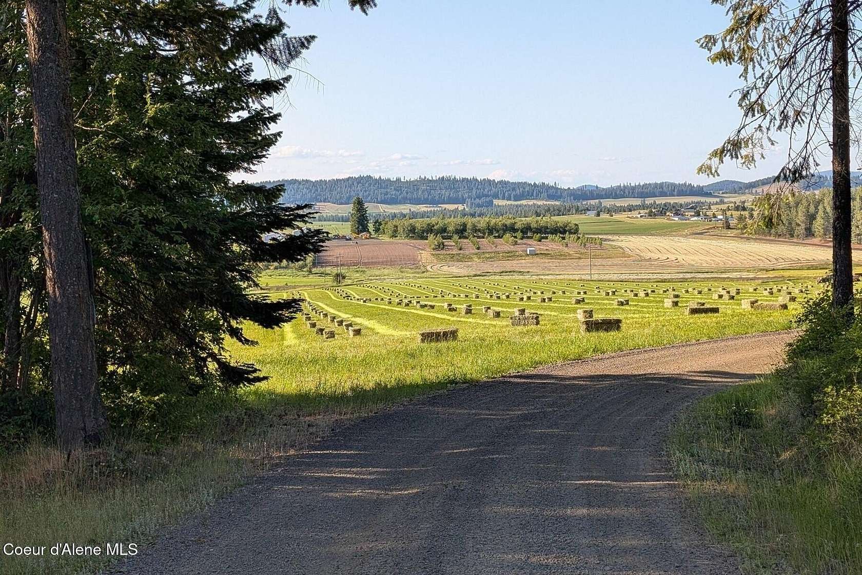 20 Acres of Improved Land for Sale in Plummer, Idaho