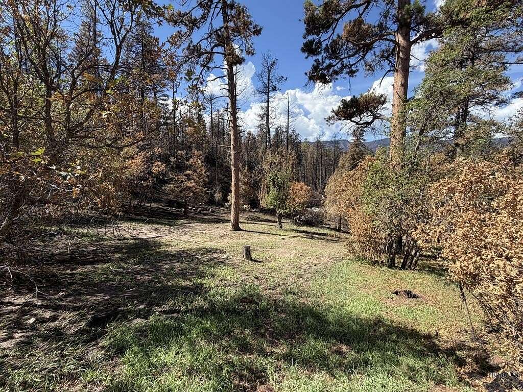 0.62 Acres of Land for Sale in Beulah, Colorado