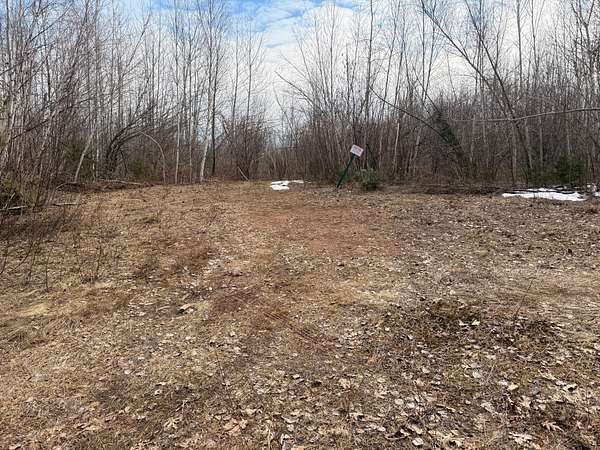 40 Acres of Recreational Land for Sale in Bruno, Minnesota
