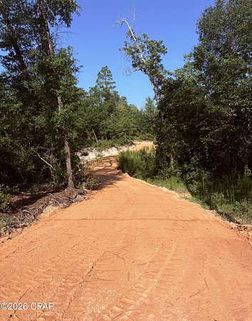 12 Acres of Land for Sale in Youngstown, Florida