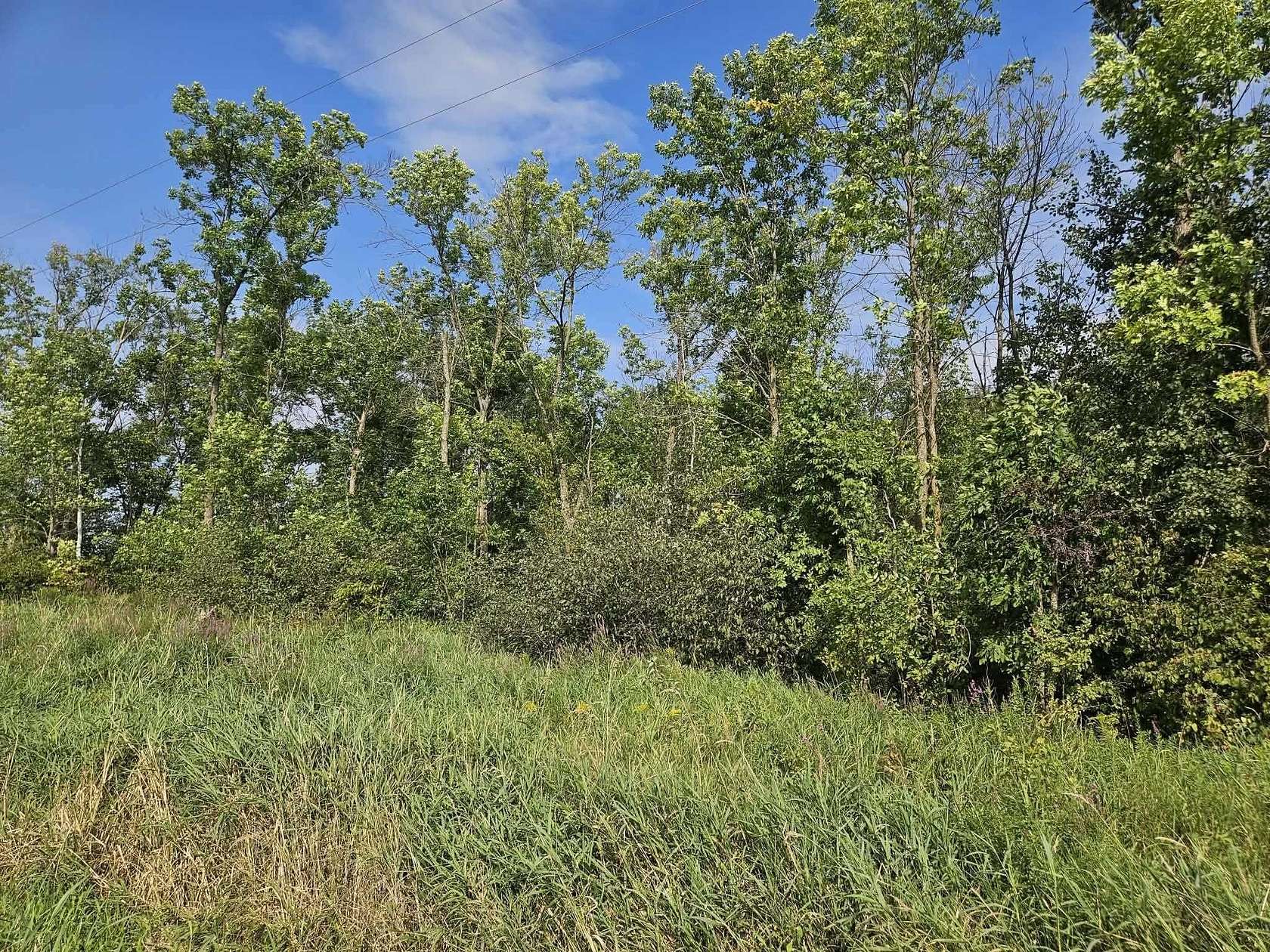 19 Acres of Recreational Land for Sale in Spencer, Wisconsin