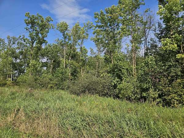 19 Acres of Recreational Land for Sale in Spencer, Wisconsin