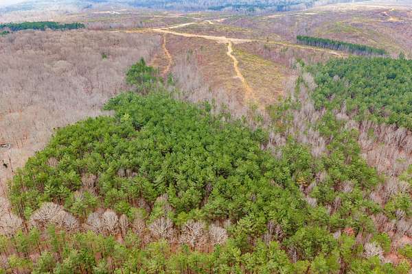 123 Acres of Land for Sale in Holladay, Tennessee